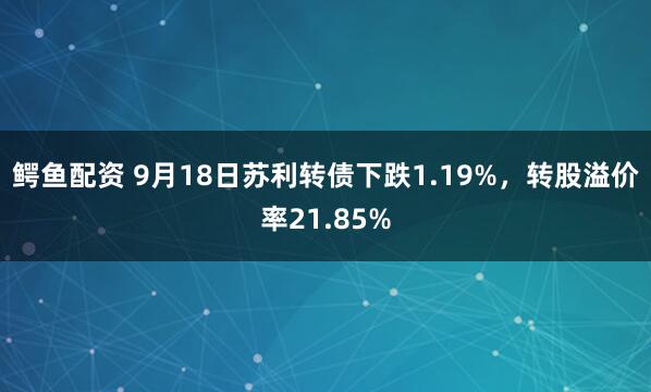 鳄鱼配资 9月18日苏利转债下跌1.19%，转股溢价率21.85%
