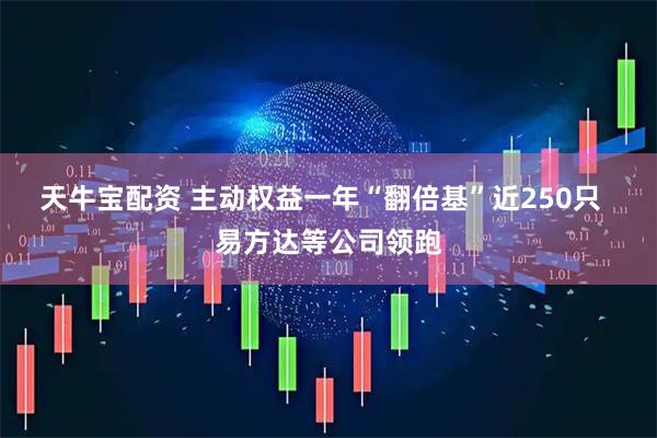天牛宝配资 主动权益一年“翻倍基”近250只  易方达等公司领跑